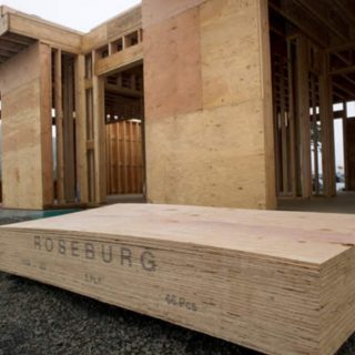 plywood sheathing